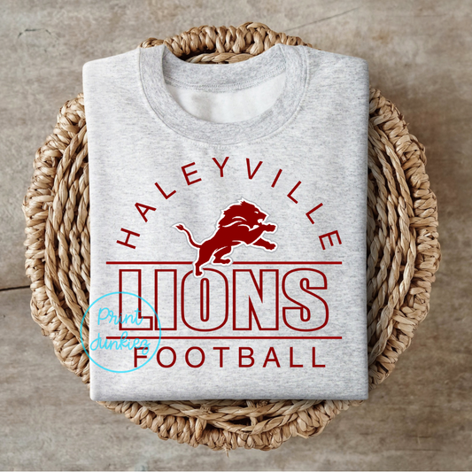 Haleyville Lions Football