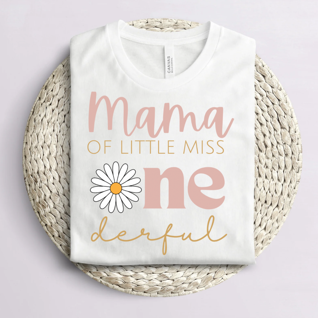 Little Miss One-derful Daisy birthday bundle