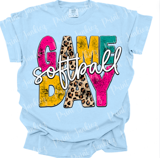 Game Day Softball Colorful Distressed